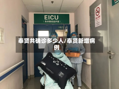 奉贤共确诊多少人/奉贤新增病例