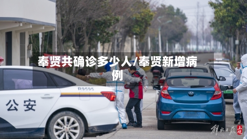 奉贤共确诊多少人/奉贤新增病例-第3张图片