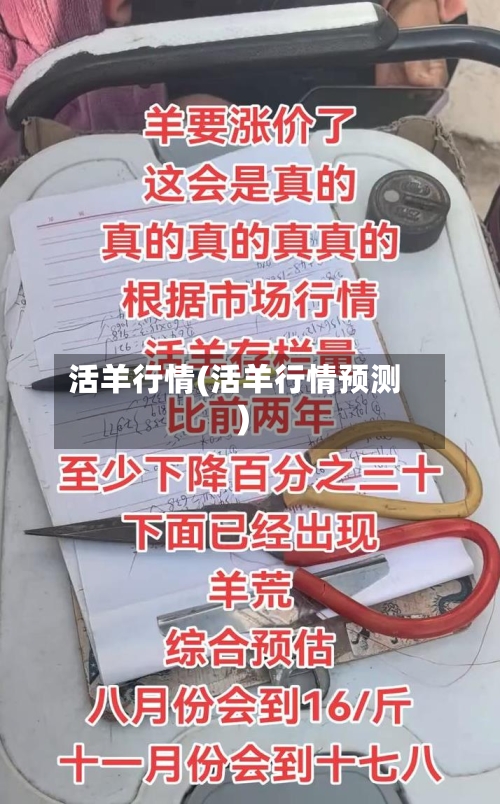 活羊行情(活羊行情预测)