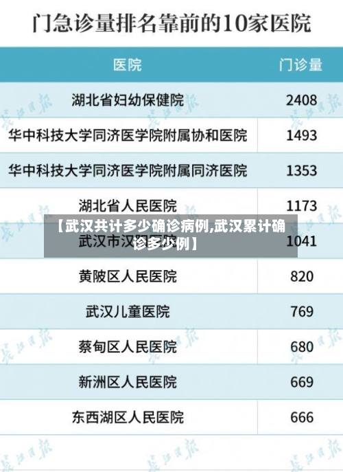 【武汉共计多少确诊病例,武汉累计确诊多少例】-第2张图片