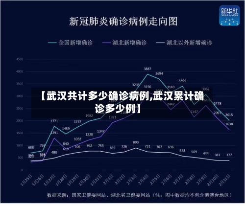 【武汉共计多少确诊病例,武汉累计确诊多少例】