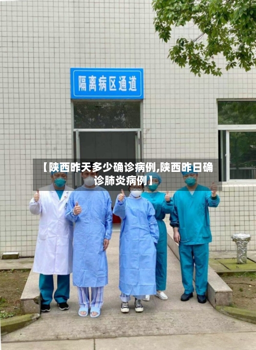 【陕西昨天多少确诊病例,陕西昨日确诊肺炎病例】-第3张图片