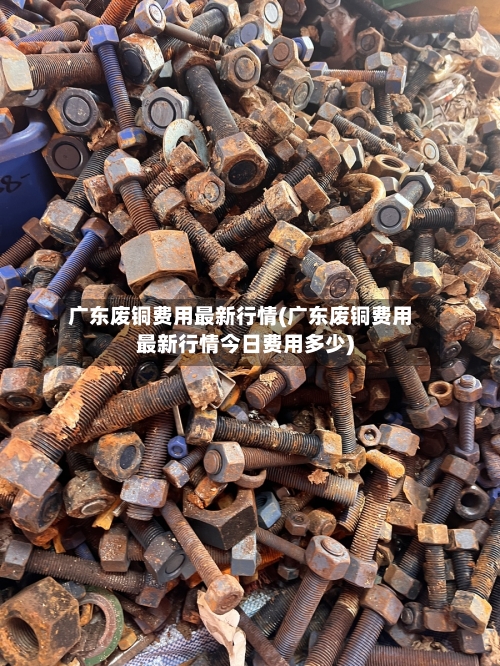 广东废铜费用最新行情(广东废铜费用最新行情今日费用多少)-第2张图片
