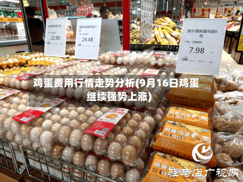 鸡蛋费用行情走势分析(9月16日鸡蛋继续强势上涨)