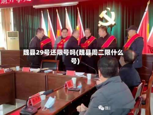魏县29号还限号吗(魏县周二限什么号)