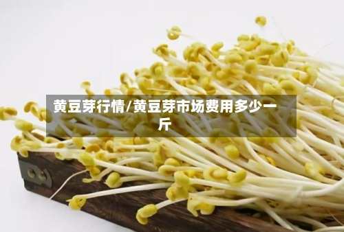 黄豆芽行情/黄豆芽市场费用多少一斤
