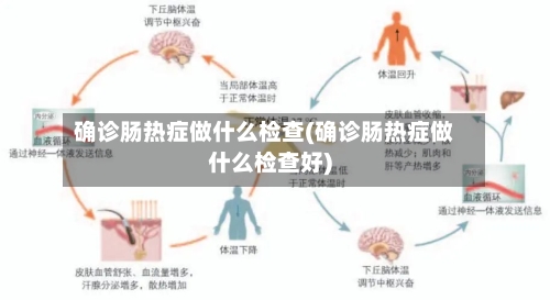 确诊肠热症做什么检查(确诊肠热症做什么检查好)