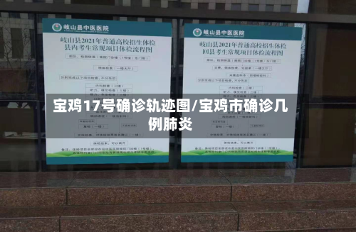 宝鸡17号确诊轨迹图/宝鸡市确诊几例肺炎-第2张图片