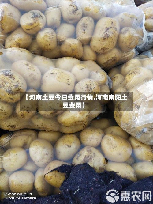 【河南土豆今日费用行情,河南南阳土豆费用】