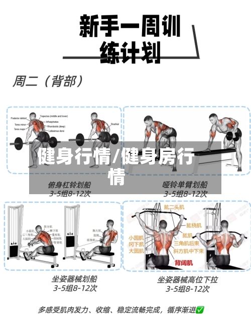 健身行情/健身房行情