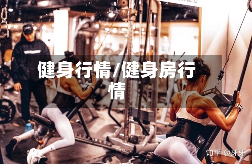 健身行情/健身房行情-第3张图片