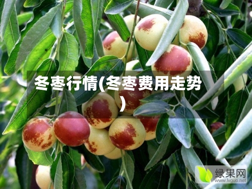 冬枣行情(冬枣费用走势)