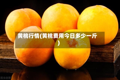 黄桃行情(黄桃费用今日多少一斤)-第3张图片