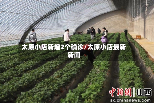 太原小店新增2个确诊/太原小店最新新闻-第3张图片