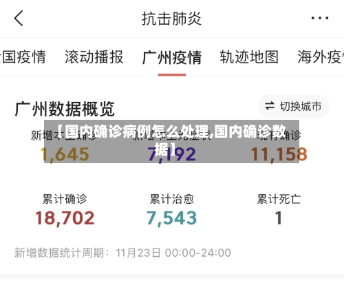 【国内确诊病例怎么处理,国内确诊数据】-第2张图片