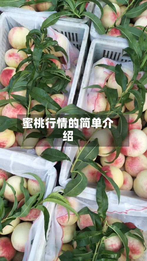 蜜桃行情的简单介绍-第3张图片