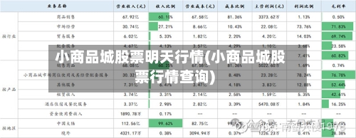 小商品城股票明天行情(小商品城股票行情查询)-第2张图片