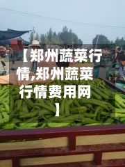 【郑州蔬菜行情,郑州蔬菜行情费用网】