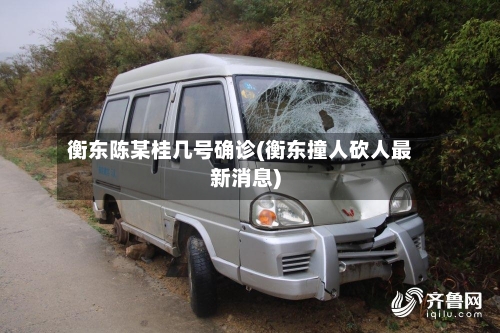衡东陈某桂几号确诊(衡东撞人砍人最新消息)