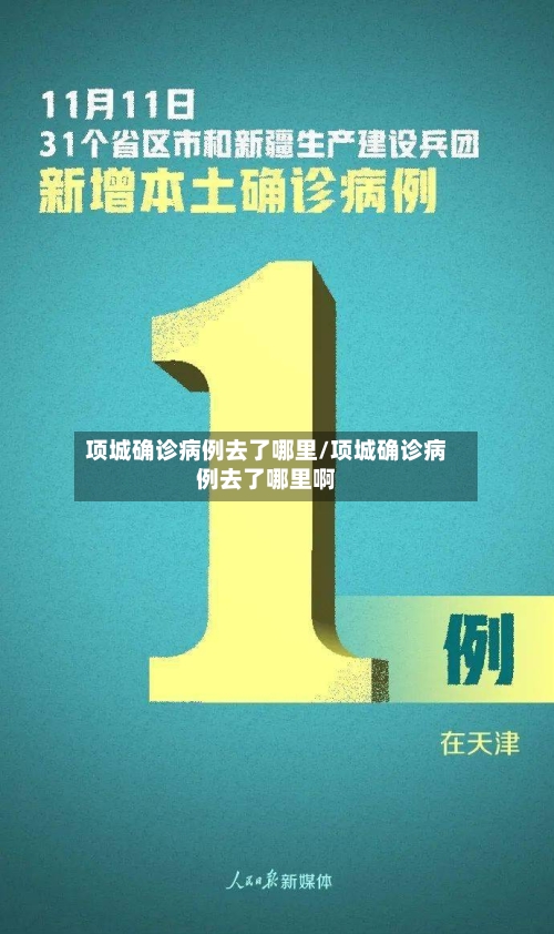 项城确诊病例去了哪里/项城确诊病例去了哪里啊-第2张图片