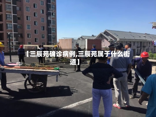 【三辰苑确诊病例,三辰苑属于什么街道】-第2张图片