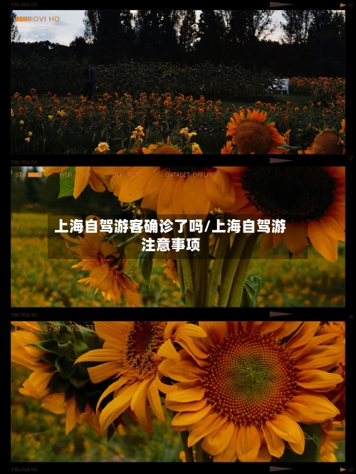 上海自驾游客确诊了吗/上海自驾游注意事项-第2张图片
