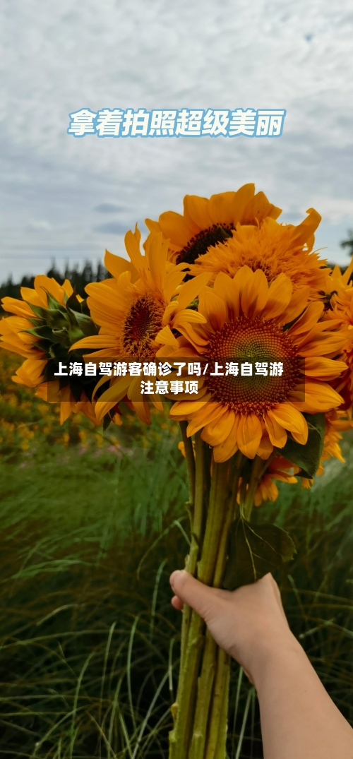 上海自驾游客确诊了吗/上海自驾游注意事项-第3张图片