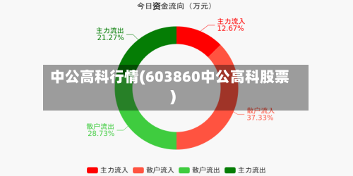 中公高科行情(603860中公高科股票)-第2张图片