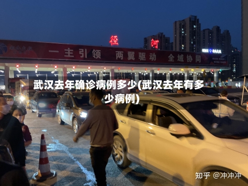 武汉去年确诊病例多少(武汉去年有多少病例)-第2张图片