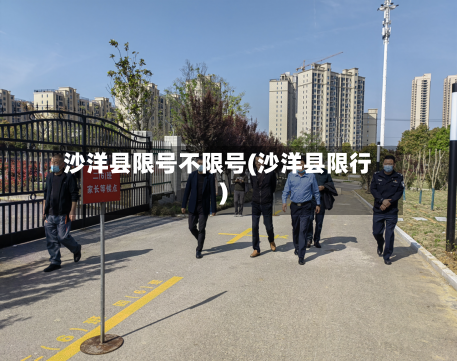 沙洋县限号不限号(沙洋县限行)