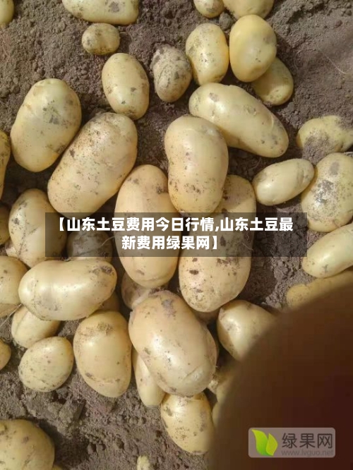 【山东土豆费用今日行情,山东土豆最新费用绿果网】