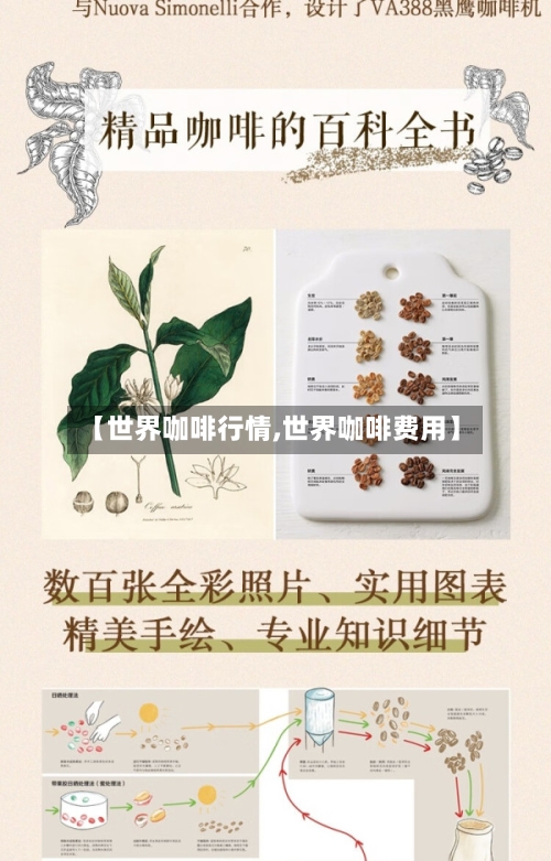 【世界咖啡行情,世界咖啡费用】-第2张图片