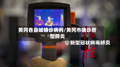 黄冈各县城确诊病例/黄冈市确诊新型肺炎