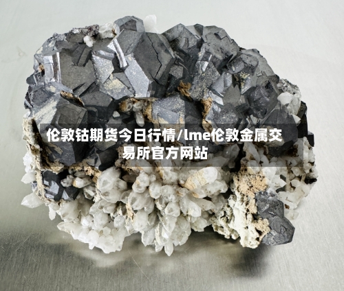 伦敦钴期货今日行情/lme伦敦金属交易所官方网站-第2张图片