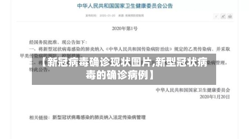【新冠病毒确诊现状图片,新型冠状病毒的确诊病例】-第2张图片