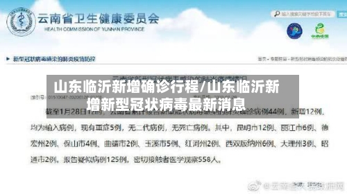 山东临沂新增确诊行程/山东临沂新增新型冠状病毒最新消息-第3张图片