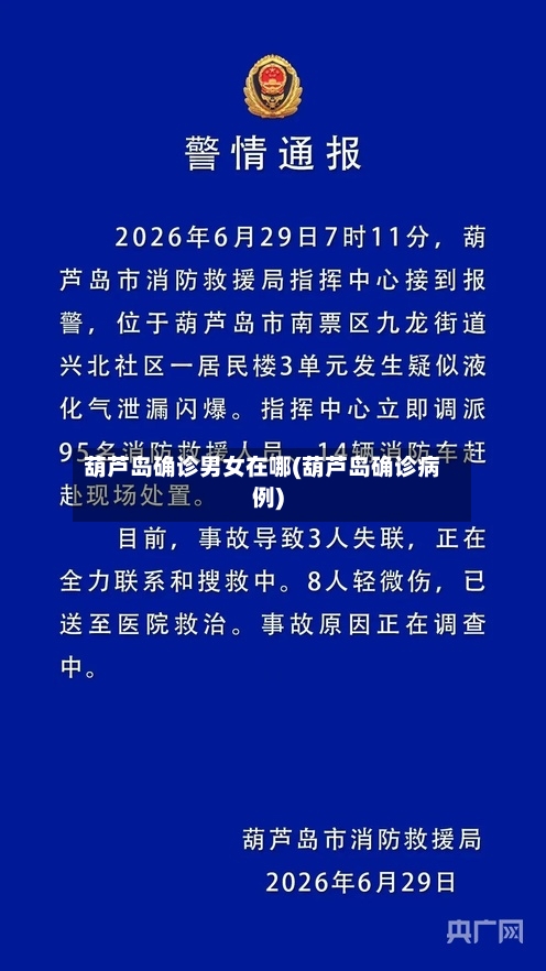 葫芦岛确诊男女在哪(葫芦岛确诊病例)-第3张图片