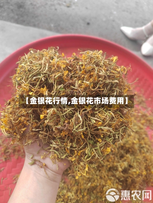 【金银花行情,金银花市场费用】-第2张图片