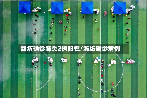 潍坊确诊肺炎2例阳性/潍坊确诊病例
