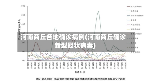 河南商丘各地确诊病例(河南商丘确诊新型冠状病毒)-第2张图片
