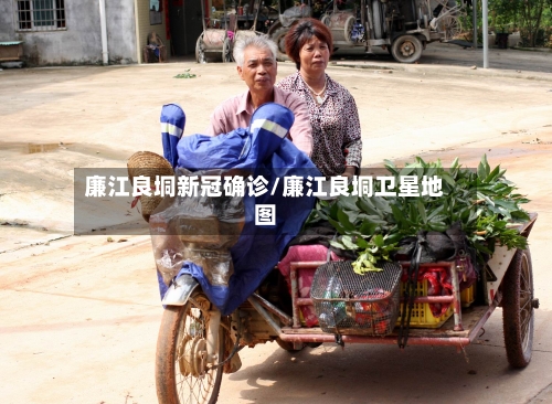 廉江良垌新冠确诊/廉江良垌卫星地图-第2张图片