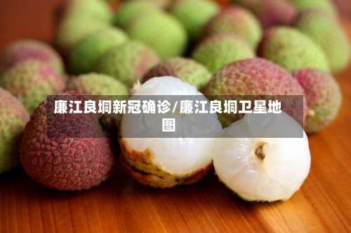 廉江良垌新冠确诊/廉江良垌卫星地图