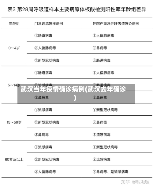 武汉当年疫情确诊病例(武汉去年确诊)
