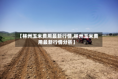 【林州玉米费用最新行情,林州玉米费用最新行情分析】-第3张图片