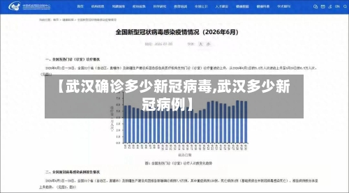 【武汉确诊多少新冠病毒,武汉多少新冠病例】-第2张图片