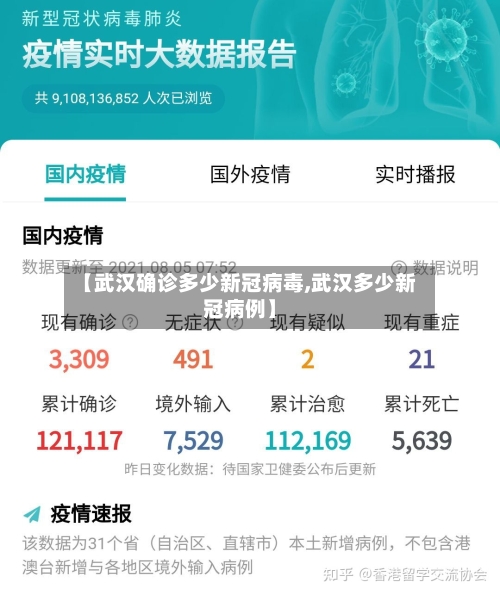 【武汉确诊多少新冠病毒,武汉多少新冠病例】-第3张图片