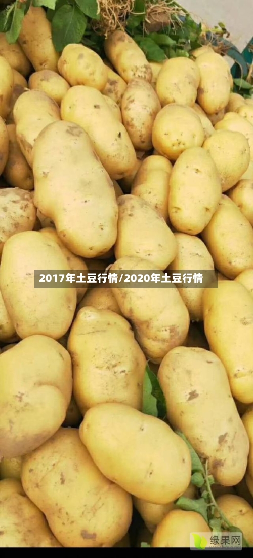 2017年土豆行情/2020年土豆行情