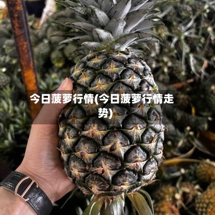 今日菠萝行情(今日菠萝行情走势)-第3张图片