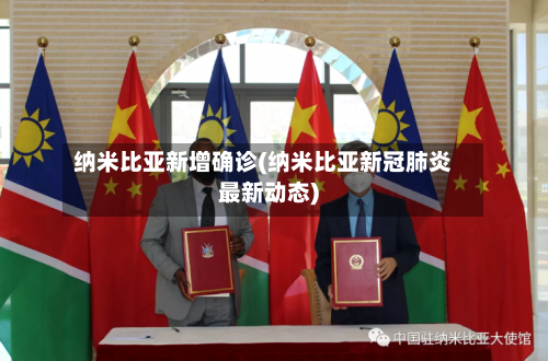 纳米比亚新增确诊(纳米比亚新冠肺炎最新动态)-第3张图片