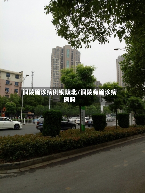 铜陵确诊病例铜陵北/铜陵有确诊病例吗